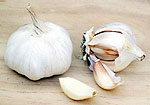 Allium sativum L.