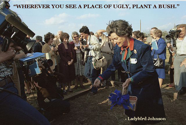 Plant a Bush